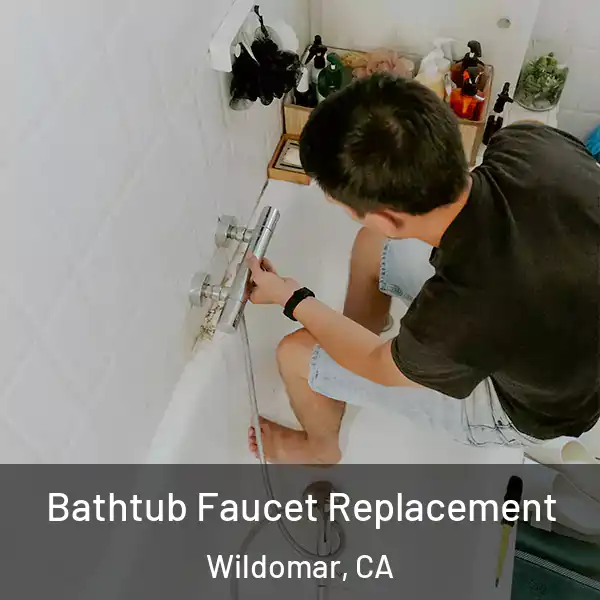  Bathtub Faucet Replacement Wildomar, CA