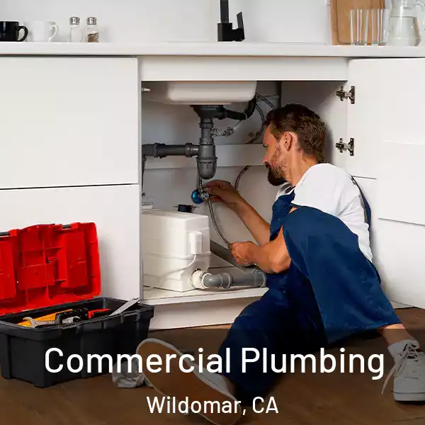  Commercial Plumbing Wildomar, CA
