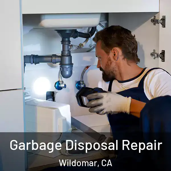  Garbage Disposal Repair Wildomar, CA