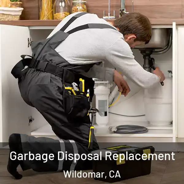  Garbage Disposal Replacement Wildomar, CA
