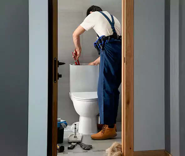 Professional Plumbers for Toilet Bowl Replacement in Wildomar, CA: Schedule Affordable Toilet Replacement Services With Us
