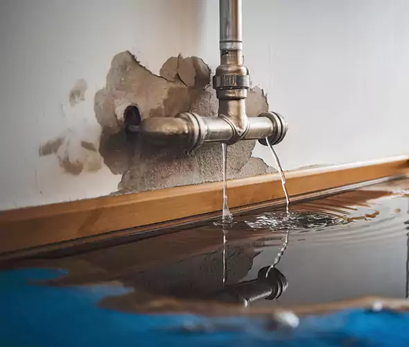 Professional Water Damage Restoration Experts in Wildomar, CA — Fast, Reliable & Certified