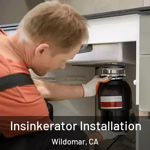  Insinkerator Installation Wildomar, CA