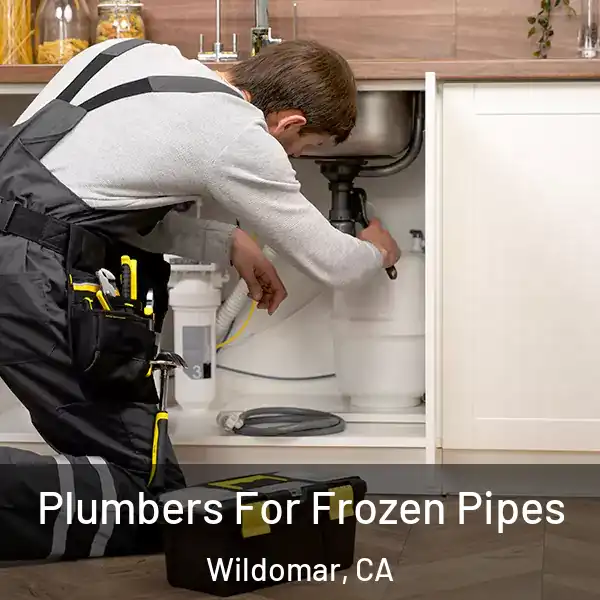  Plumbers For Frozen Pipes Wildomar, CA
