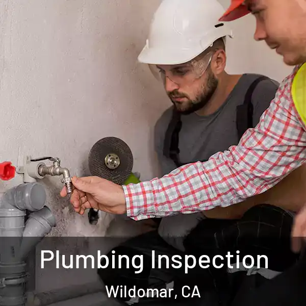  Plumbing Inspection Wildomar, CA