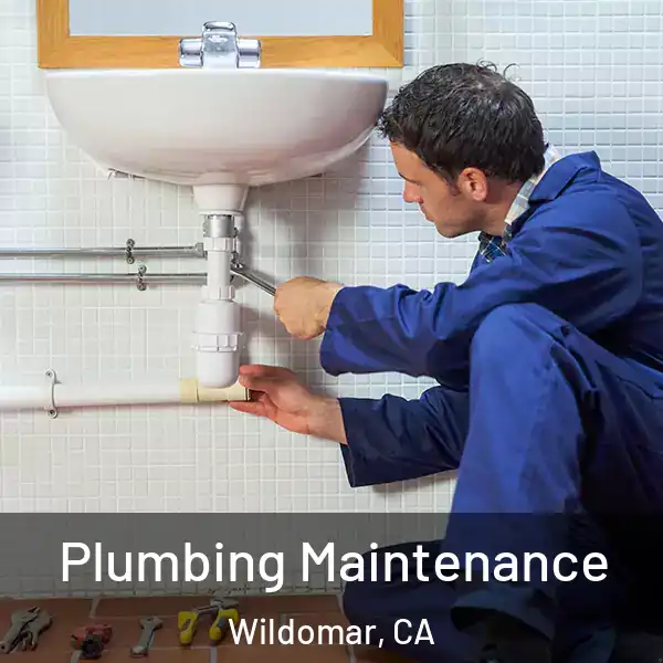  Plumbing Maintenance Wildomar, CA
