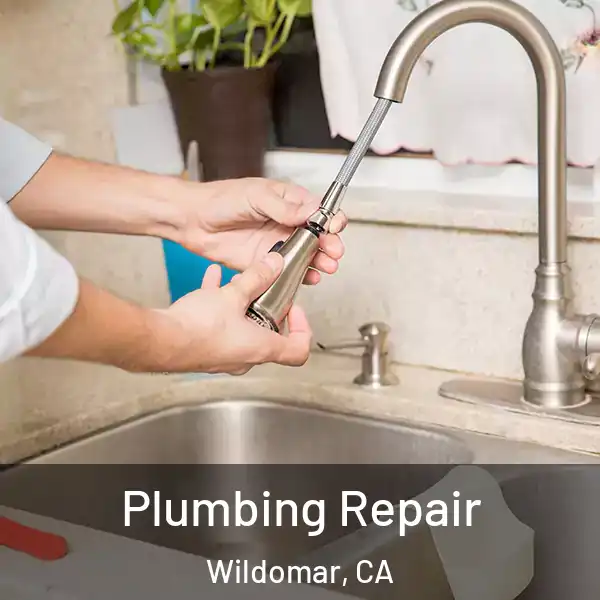  Plumbing Repair Wildomar, CA