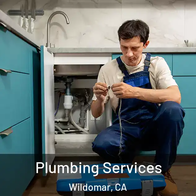 Plumbing Services Wildomar, CA