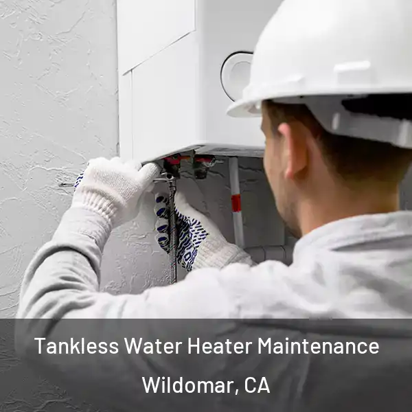 Tankless Water Heater Maintenance Wildomar, CA