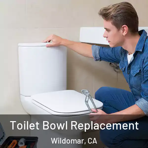  Toilet Bowl Replacement Wildomar, CA