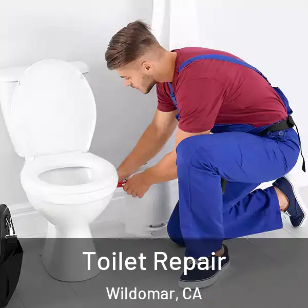  Toilet Repair Wildomar, CA