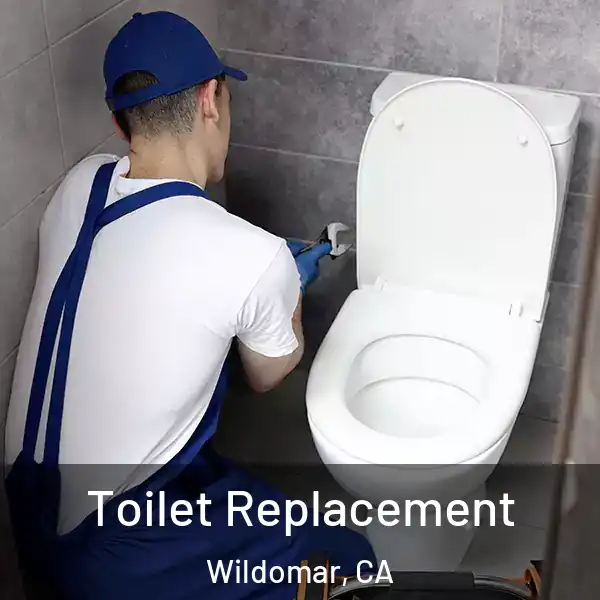  Toilet Replacement Wildomar, CA
