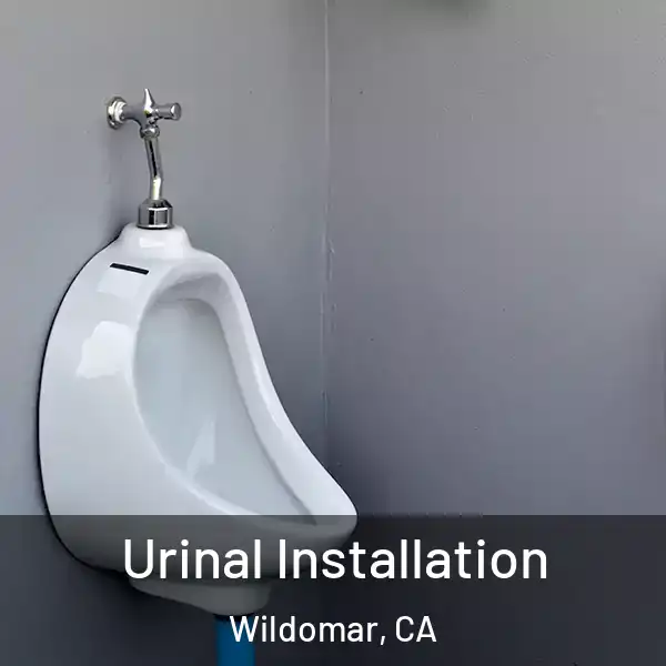  Urinal Installation Wildomar, CA