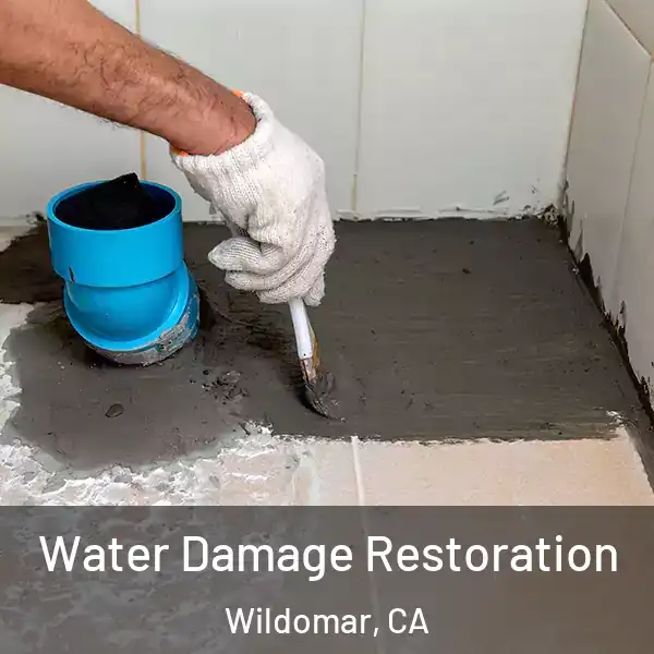  Water Damage Restoration Wildomar, CA