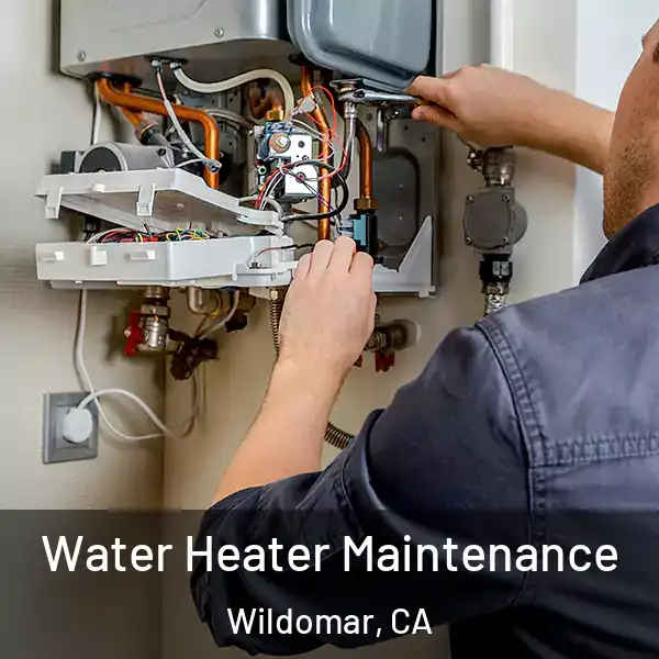  Water Heater Maintenance Wildomar, CA