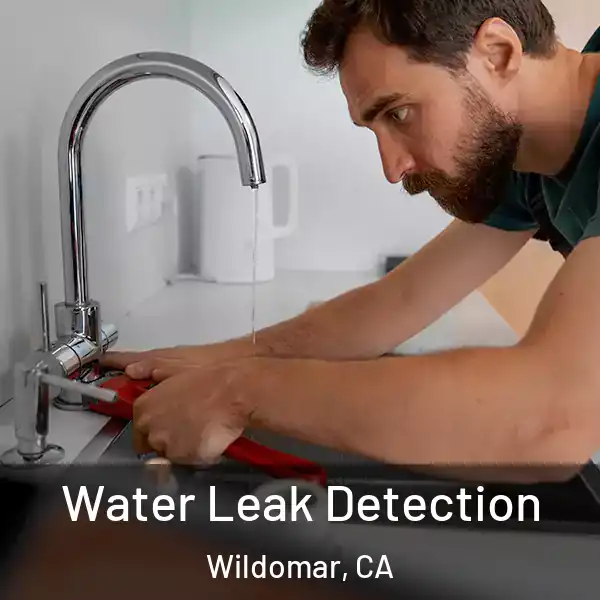  Water Leak Detection Wildomar, CA